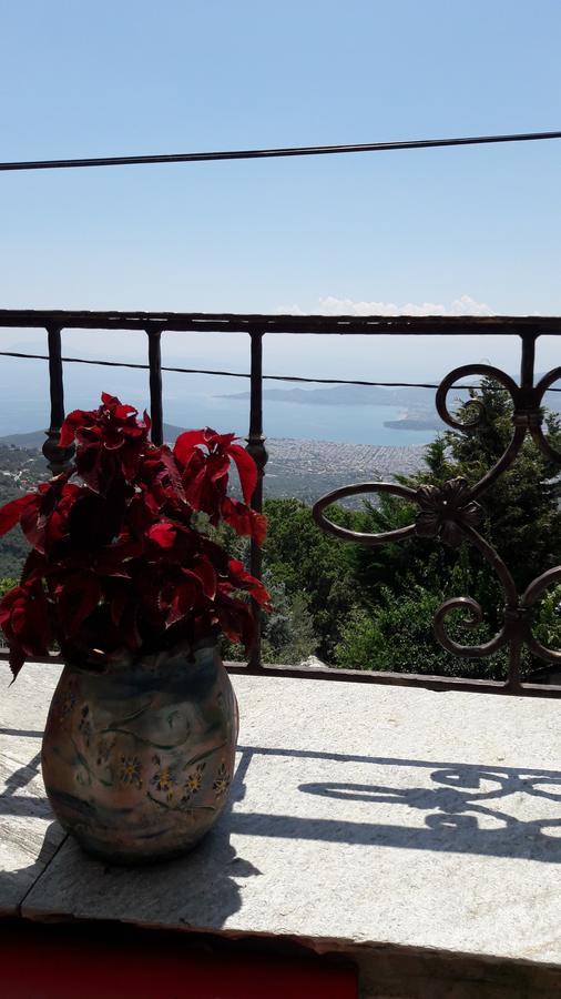 Archontiko Koilia Hotel Makrinítsa Buitenkant foto